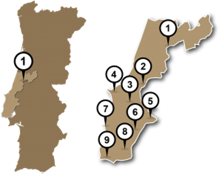 mapa de vino de portugal
