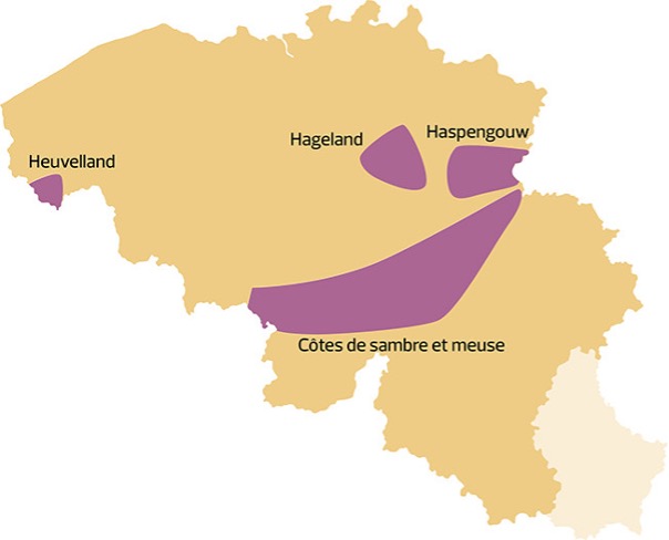 denominaciones de origen de vino belgas